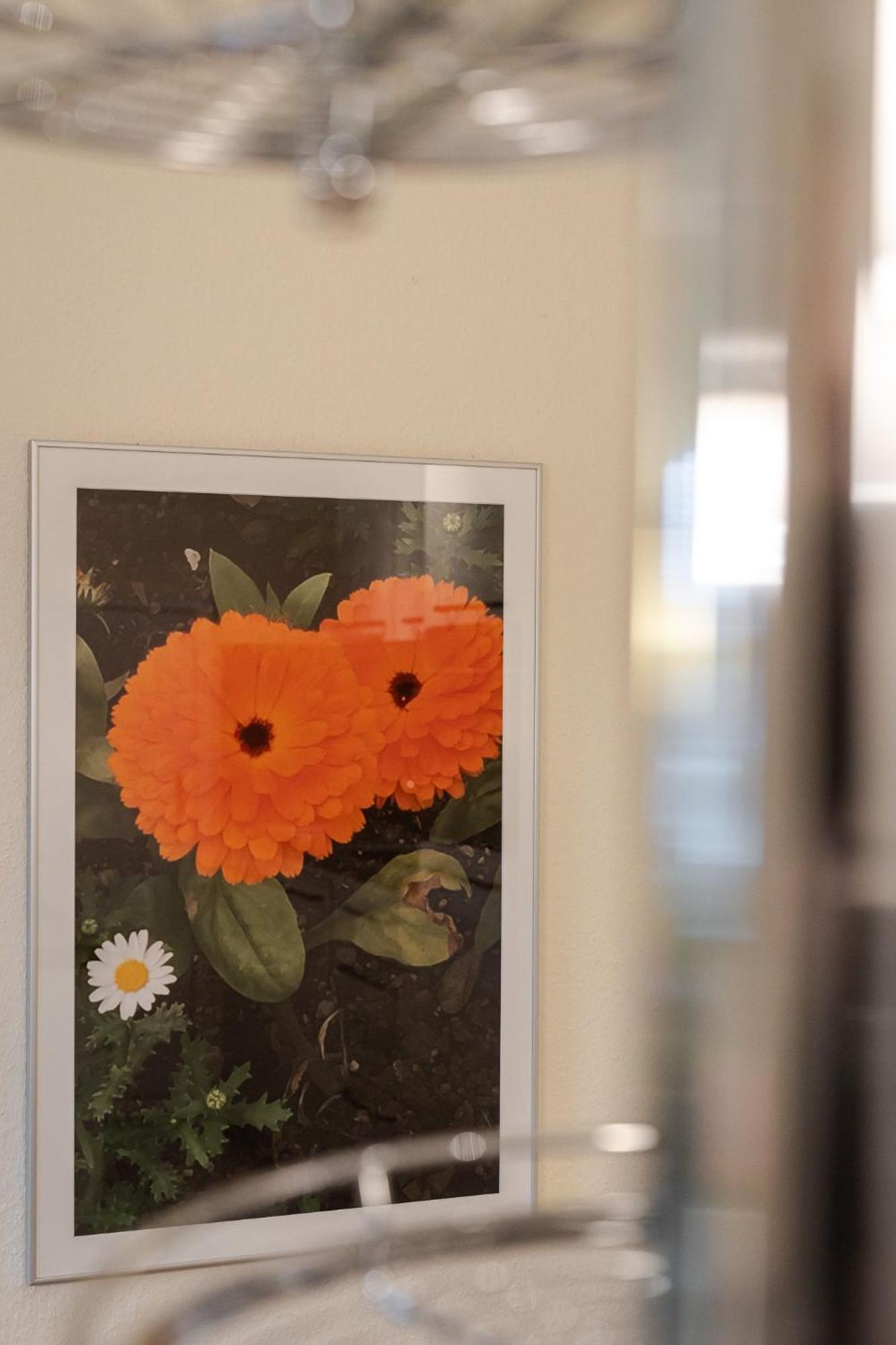 Fewo Ringelblume Ліст Екстер'єр фото